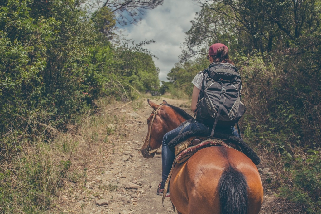 Riding a Horse Across the USA