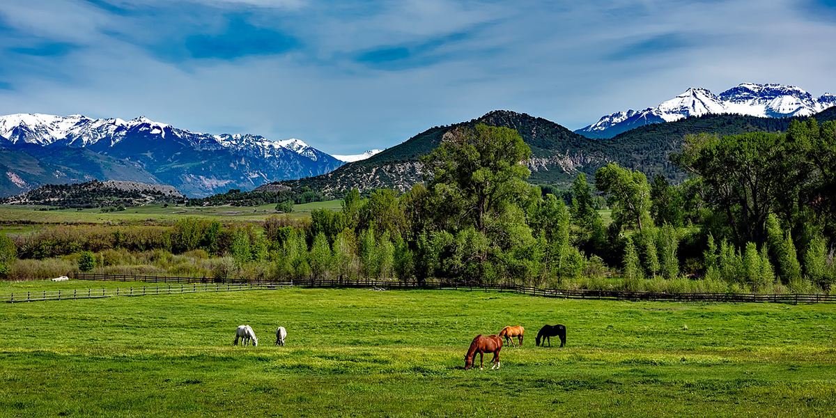 Best Family Dude Ranch Vacations Colorado | Kid Friendly Ranches
